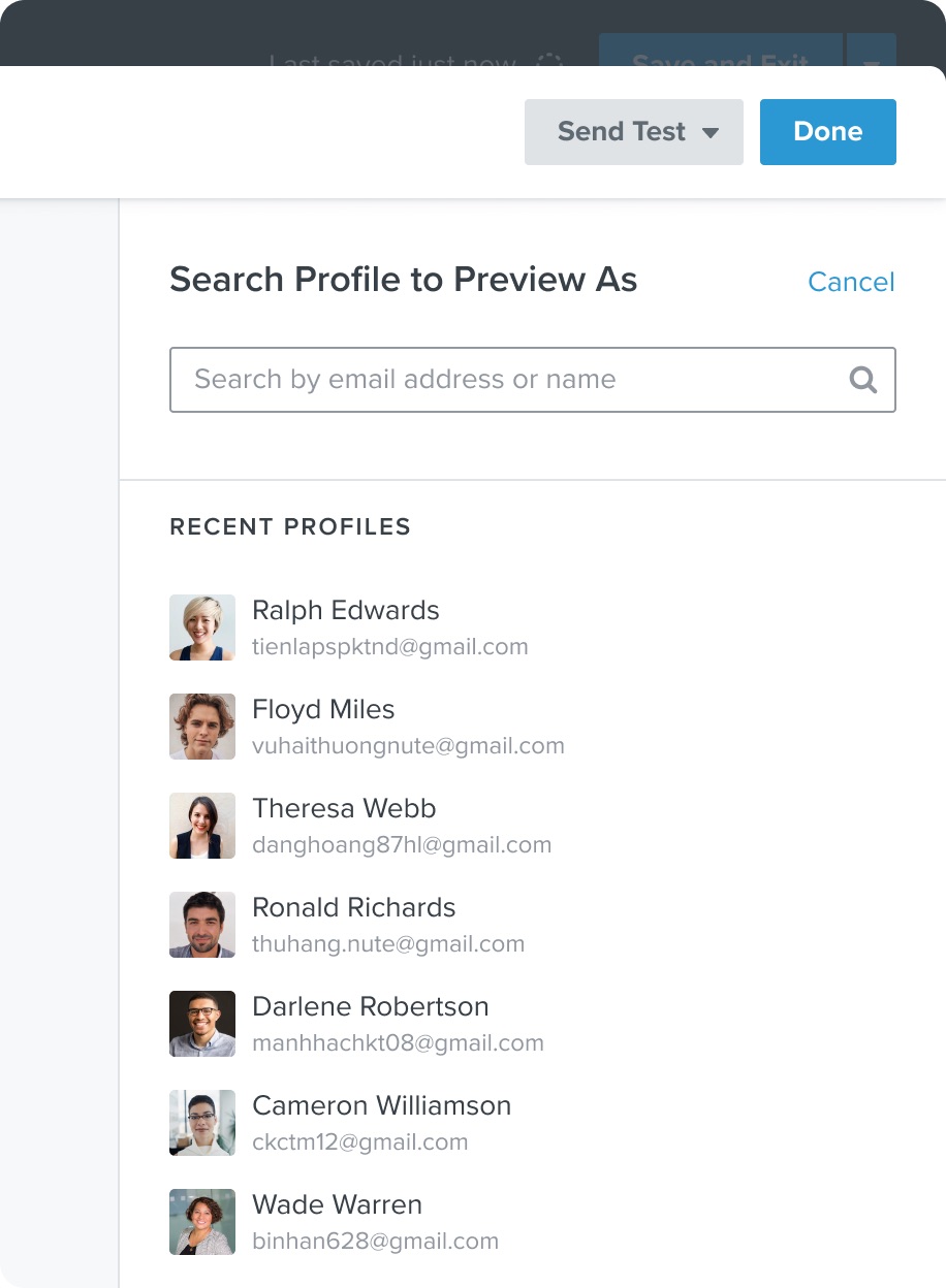 Proposed search interface for preview profiles