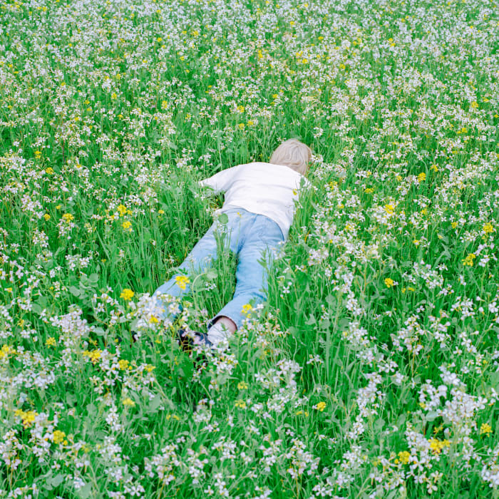 Porter Robinson lying in a field of flowers on the Nurture album cover.